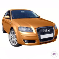 Audi A3 8P /8PA Single Frame Front Bumper 03-08 + assembly k