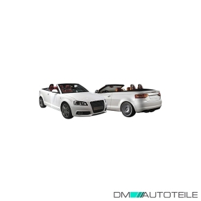 Nebelscheinwerfer Gitter vorne rechts für Audi A3 Limousine Cabriolet 2012-2016