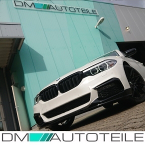 Performance Doppelsteg Kühlergrill für BMW 5er G30 / G31 in Schwarz Glanz 