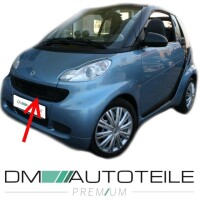 Smart Fortwo Coupe Convertible 451 Bumper Grille mesh black 