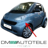 Smart Fortwo Coupe Convertible 451 Front left wing panel pri