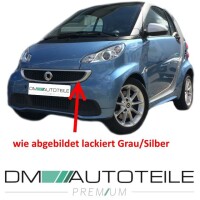 Smart Fortwo 451 frame Front Grille Front Grille grey-silver