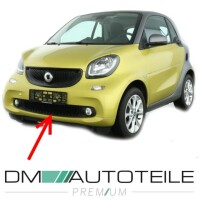 Smart Fortwo 453 Bj.14- Stoßstangengitter Grau Mitte m