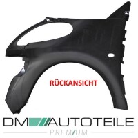 Set Smart 450 City Coupe Front left and right wing panels wi