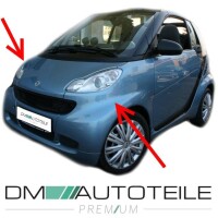 Set Smart Fortwo 451 Front wing panels left & right with