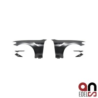 Sport Front Fenders + Black gloss mouldi gallery