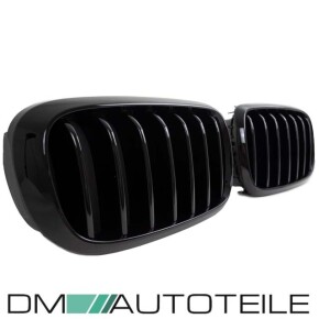 Sport-Performance Kühlergrill für BMW X5 F15 / X6 F16 in Schwarz Glanz