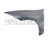 Kotfl&uuml;gel Fender vorne links f&uuml;r BMW X5...
