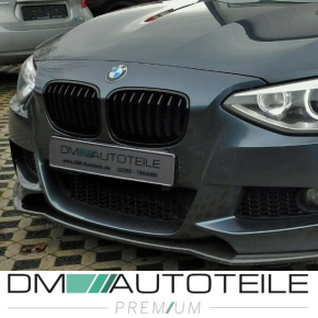 Sport-Performance Kühlergrill für BMW 1er F20 / F21 Vorfacelift in Schwarz Glanz