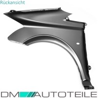 Mercedes Vito W639 Kotflügel vorne rechts mit Blinkerlo
