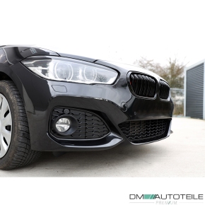 Doppelsteg-Kühlergrill für BMW 1er F20 / F21 LCI in Schwarz Glanz