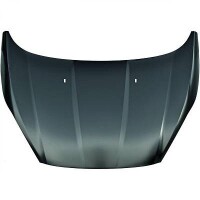Motorhaube Bonnet Neu für Ford Fies gallery