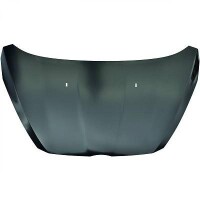 Motorhaube Bonnet Neu für Ford B-Ma gallery