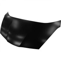 Motorhaube Bonnet Neu für Honda Jaz gallery