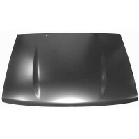 Motorhaube Bonnet Neu für Toyota Hi gallery