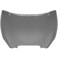 Motorhaube Bonnet Neu für Seat Alte gallery