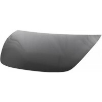 Motorhaube Bonnet Neu f&uuml;r Tesla Model 3 (5YJ3)...