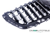 Sport Panamericana GT Front Grille Mercedes W906 black chrom