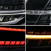 Facelift-Design LED Rückleuchten Schwarz dynamisch pass