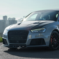 Frontlippe Frontspoiler glanz V1 passt für Audi RS3 (8V