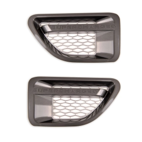 Kotflügelgitter Grill Schwarz glanz Silber für...