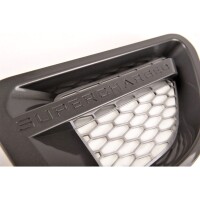 Kotflügelgitter Grill Schwarz glanz Silber für Ran