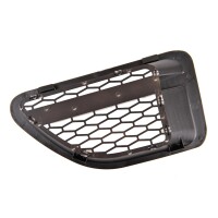 Kotflügelgitter Grill Schwarz glanz Silber für Ran