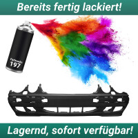 Sto&szlig;stange vorne f&uuml;r SRA LACKIERT 197...