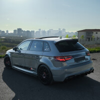 Hinten Splitter Kompatibel mit AUDI RS3 Sportback 8V 2015-20