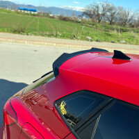 Dachspoiler Kompatibel mit SEAT Ibiza Fr gallery