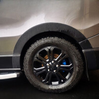 Radlaufleisten Kompatibel mit RENAULT Tr gallery